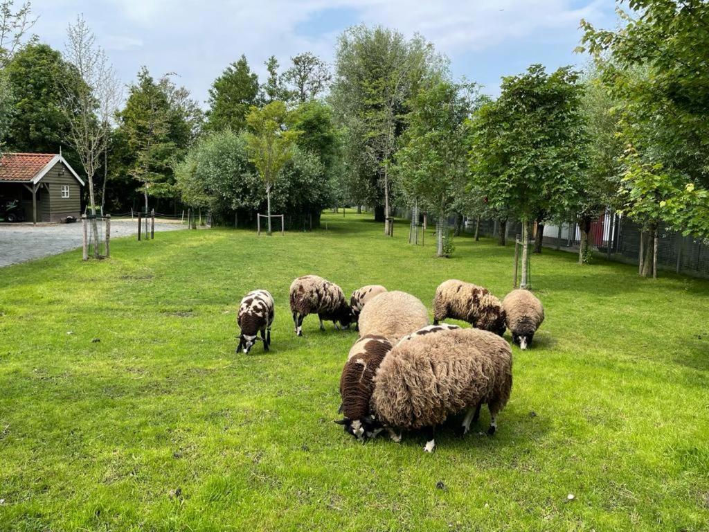 Flora'S B&B Landsmeer Экстерьер фото