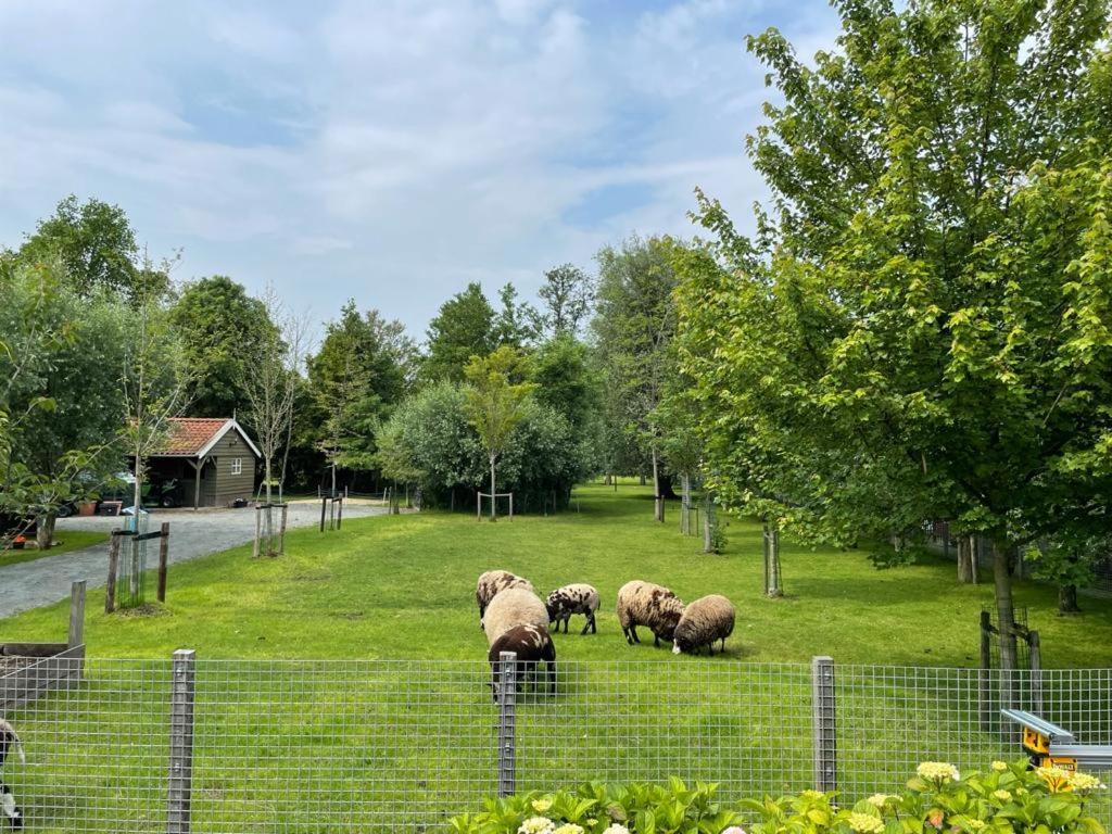 Flora'S B&B Landsmeer Экстерьер фото